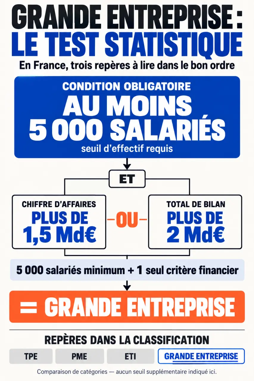 Infographie sur les seuils de définition des grandes entreprises en France